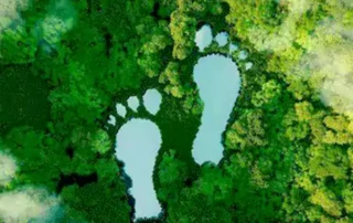 普克贝材料通过新的“石墨回收”绿色计划减少碳足迹 4 绿色碳足迹_普克贝