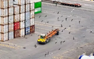 国际海运集装箱